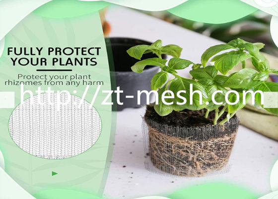 Compressed Stainless Steel Wire Mesh Exhaust Support Pads with Corrosion Resistance and High Temperature Resistance in Customizable Diameter