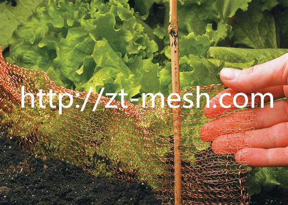 Tissu galvanisé de fil de fer soudé avec une surface en spirale de type plat et une surface en spirale de type ondulée ou une surface comprimée