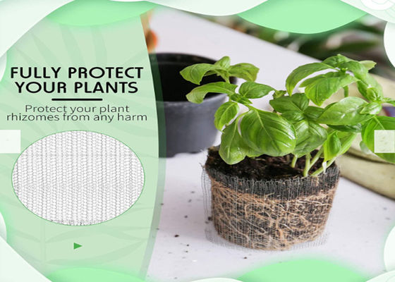 Diamètre de cuivre de tricotage de Gopher Basket 0.12mm de garde de racine